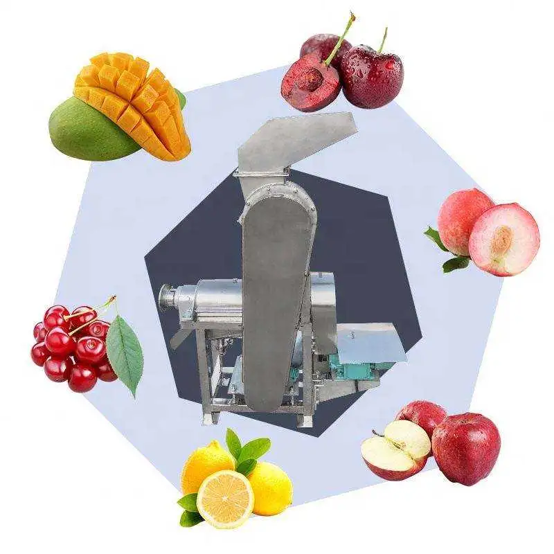 Premium Lime Mango Papaya Watermelon Juicer Making Machine