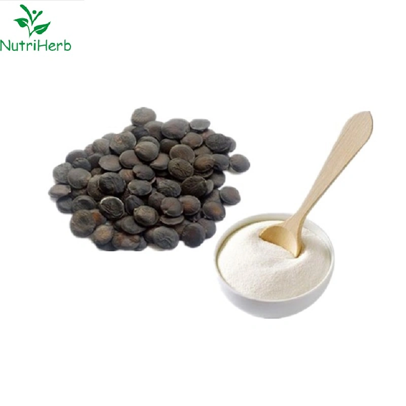 Factory Herb Griffonia Seed Extract Ghana Seed Extract