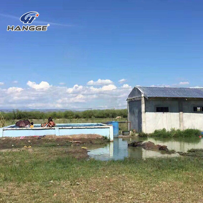 Bomba de agua Solar Energía Solar 3HP 2 salida de Icnh