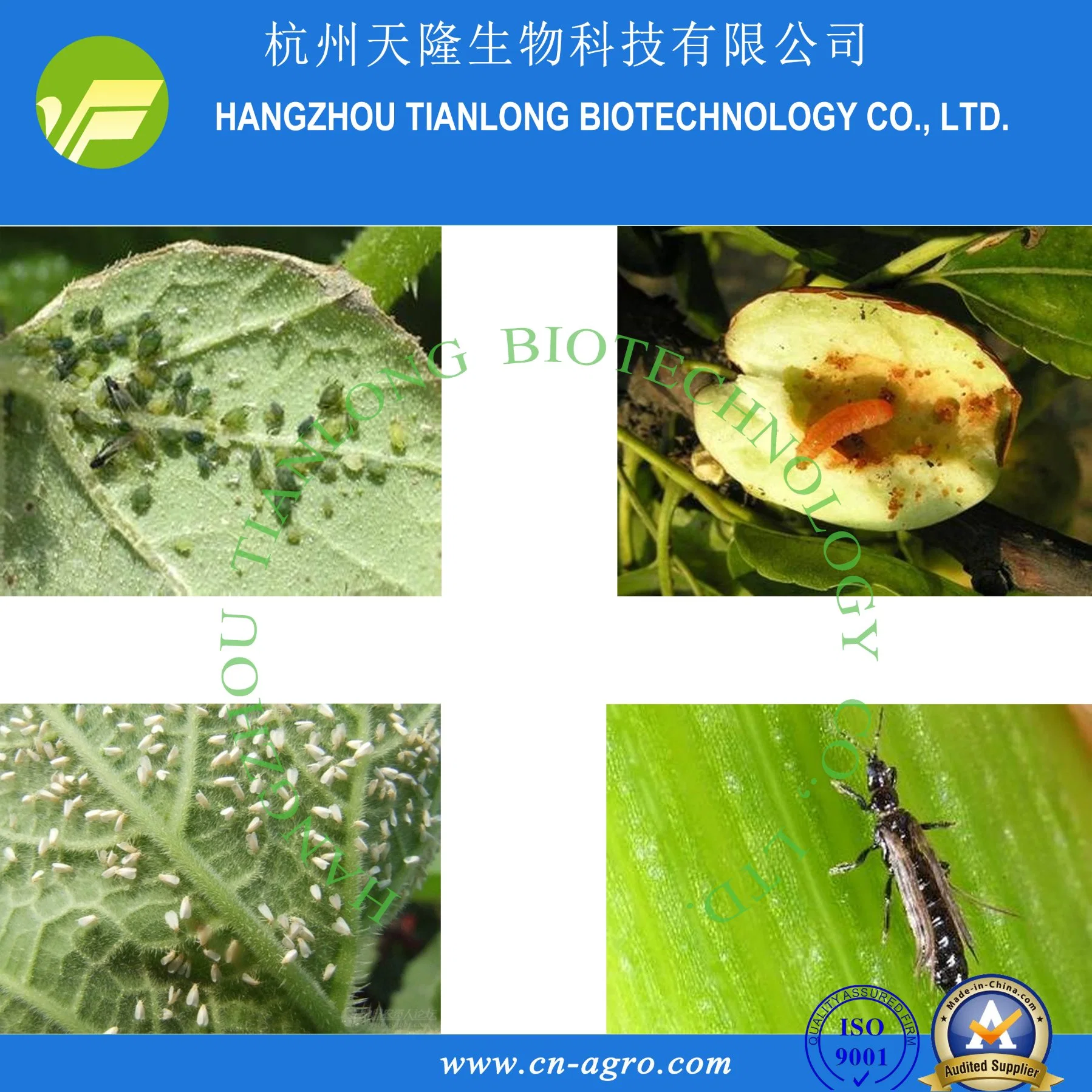 Insecticide Malathion 800ULV, 960ULV