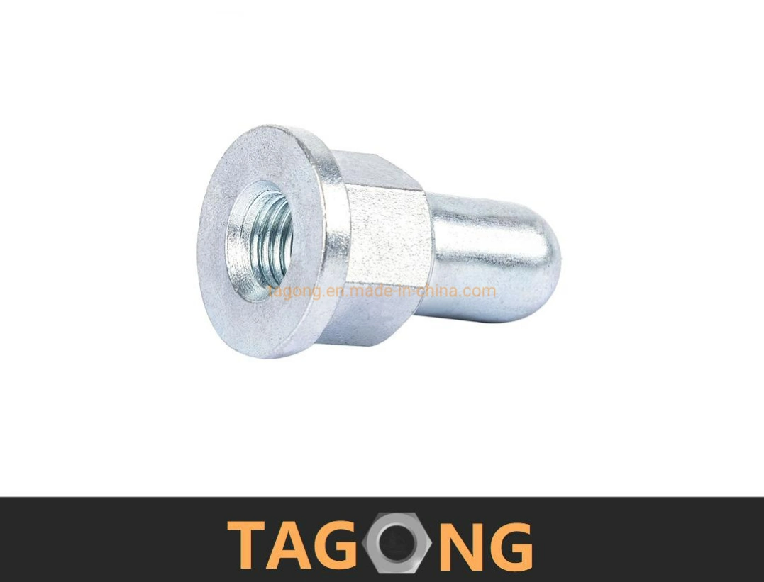 Zinc Plated Carbon Steel Nut DIN1587 DIN917 Acorn Nut Cap Nut