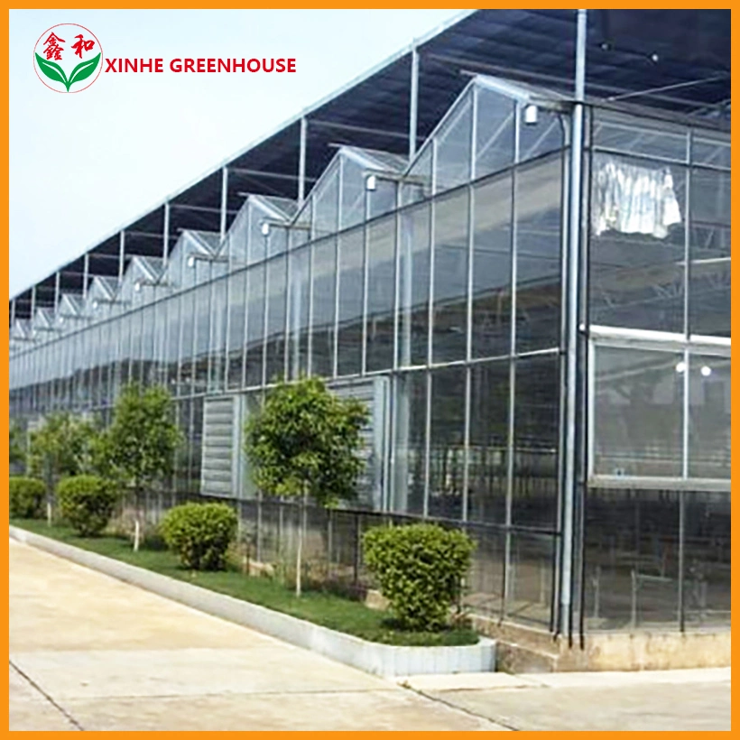 Agriculture Green House Covered with Double Layer Glass for Planting Vegetables