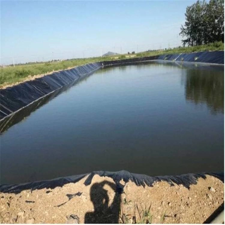 Fish Farm Pond Liner géomembrane HDPE de matériaux imperméables en plastique 0.5mm 1.0mm 1.5mm 2.0mm 3.0mm