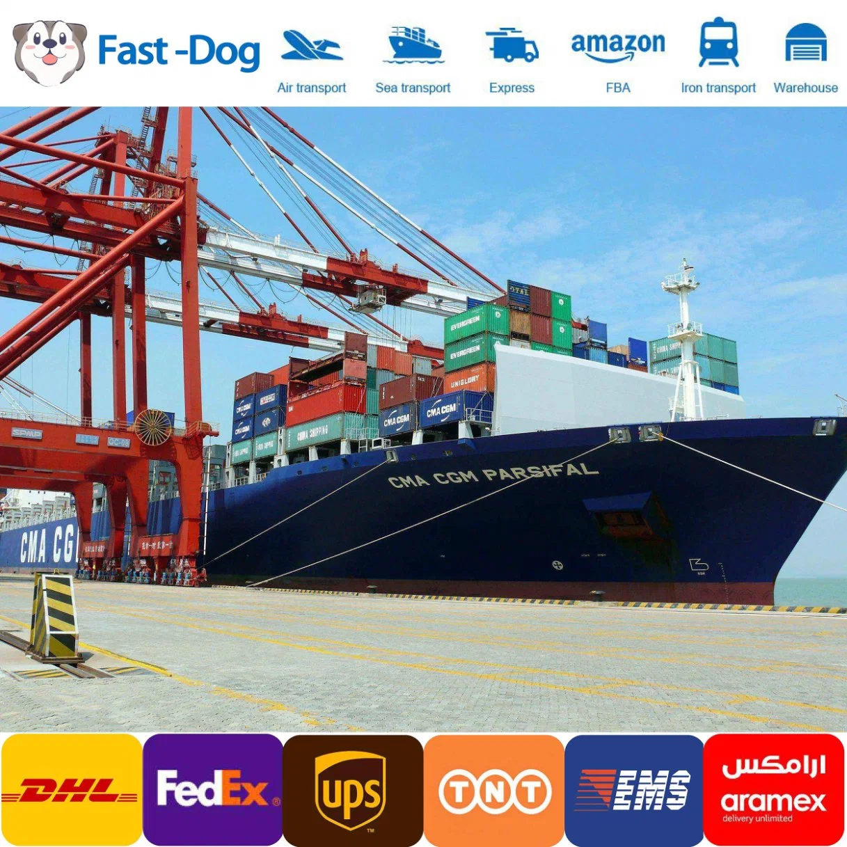 السلامة وتكلفة الشحن السريعة لشركة DHL/UPS /FedEx Express من الصين