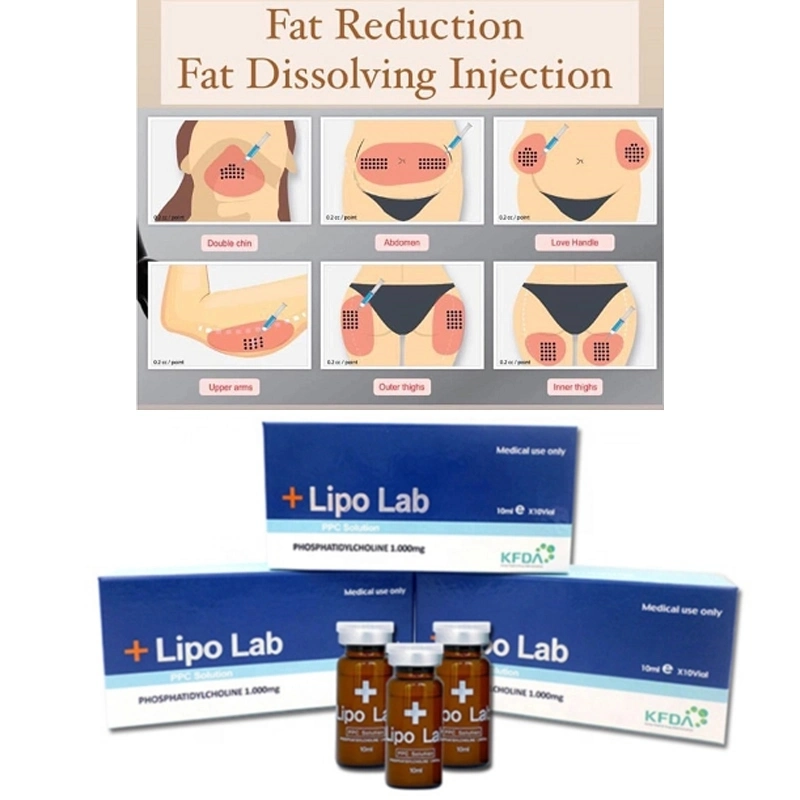 Highly Recommend Safe, Fast and Effective Lipo Lab Ppc Mesotherapy Serum Weight Loss Lipolytic Solution Injections Double Chin Belly Lipolysis Burn Fat Quickly