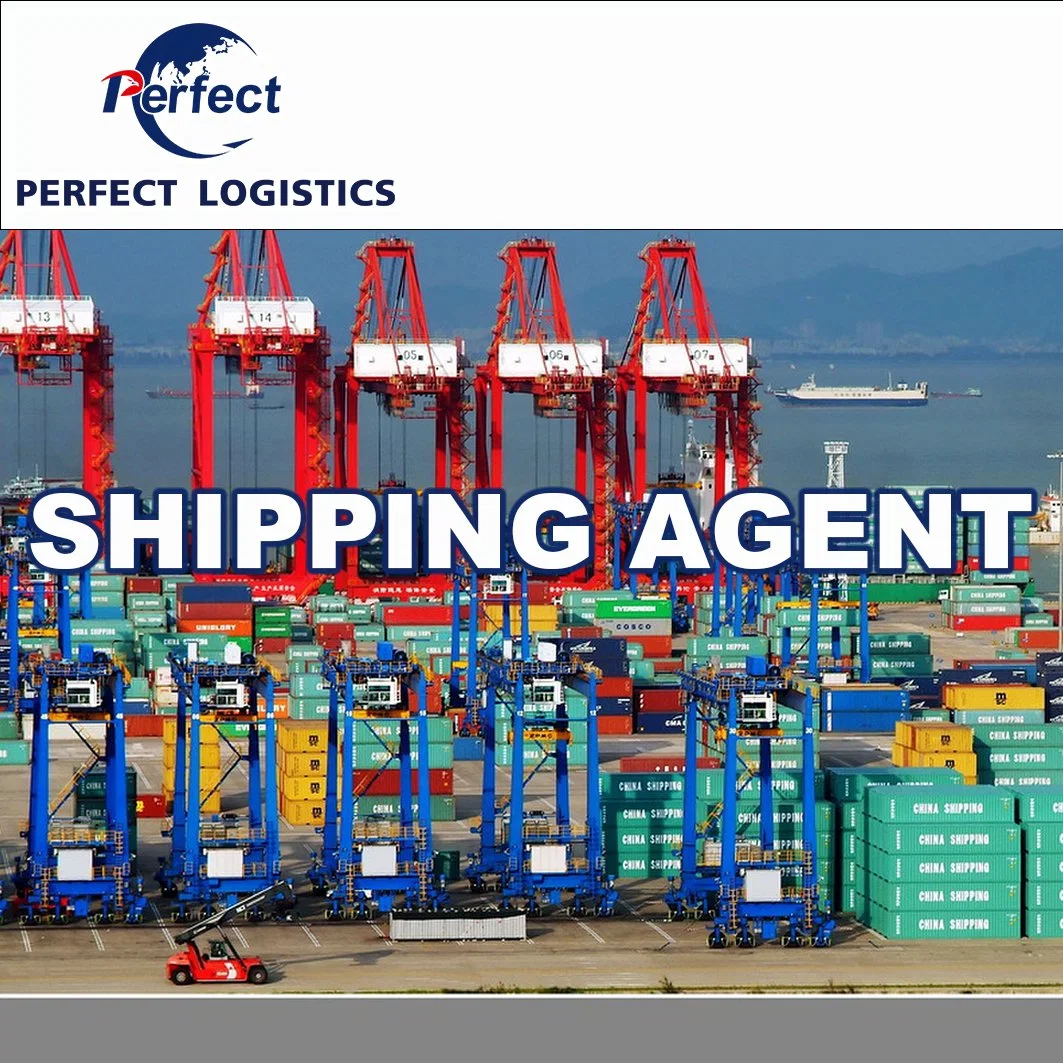 EE.UU., Reino Unido, Canadá, Italia, Polonia, Alemania, México, Australia, Noruega, Suecia, Portugal de China sea Freight Air Freight y Freight