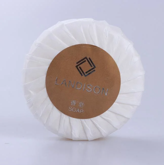 Hot Sale Hotel Supply Cheap Pleat Wrapped Travel Toilet Hotel Soap