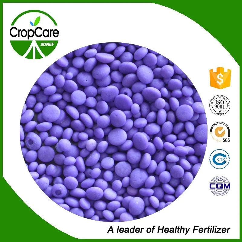 Water Soluble Fertilizer Manufacture Compound NPK 15-5-25 Chemical Fertilizer