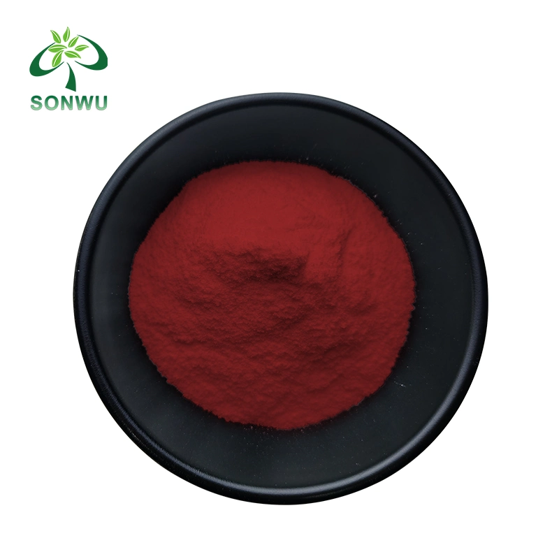 Sonwu Supply High quality/High cost performance  Fruit Extract CAS 84082-34-8 Bilberry Extract