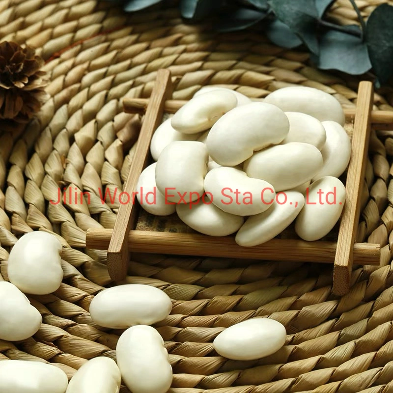 High Quality Dried White Kidney Beans From Factory