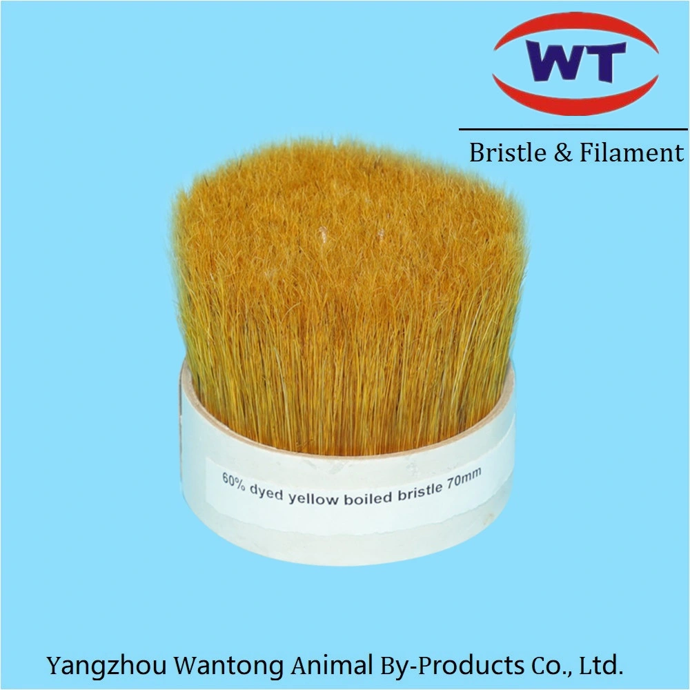 Chongqing Natual Black Boiled Bristle Pig Hair Paint Brush Filament Manufacturer