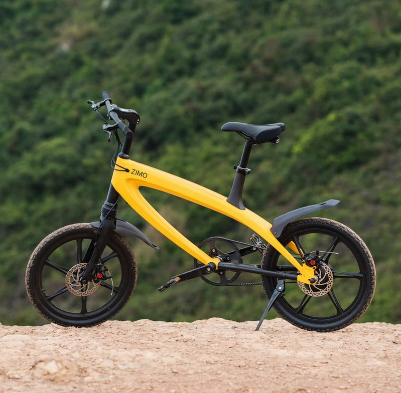 Grasa de 20 pulgadas de ciclomotor Scooter eléctrico Dirt Bike eléctrica E-Bike