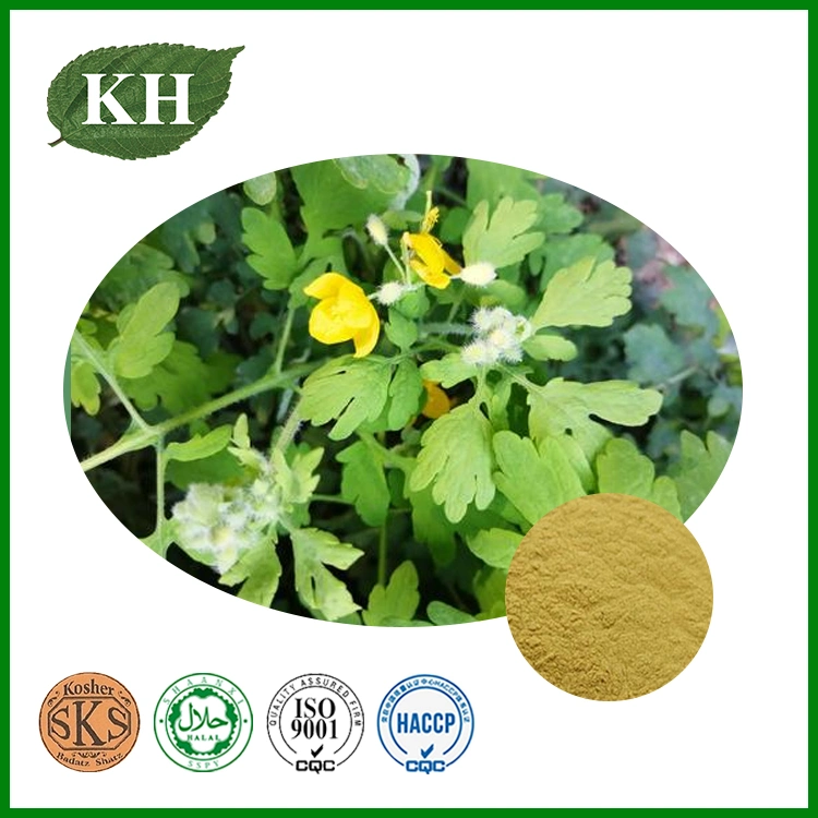 Chinese Herb Medicine Rhizoma Coptidis Extract 97% Berberin