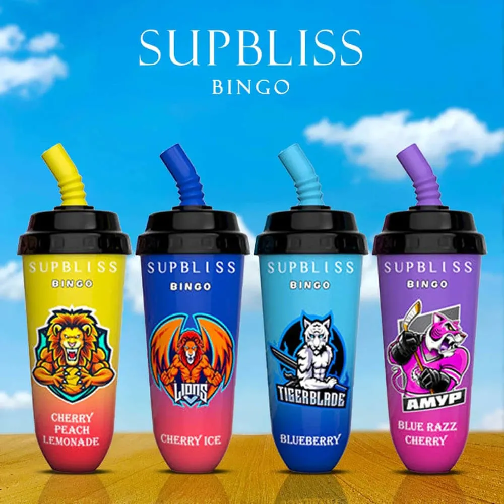 12 Flavors Disposable/Chargeable Vaporizer 16ml E-Liquid Pod Device Randm Supbliss Bingo 8000 Puffs Wholesale/Supplier I Vape