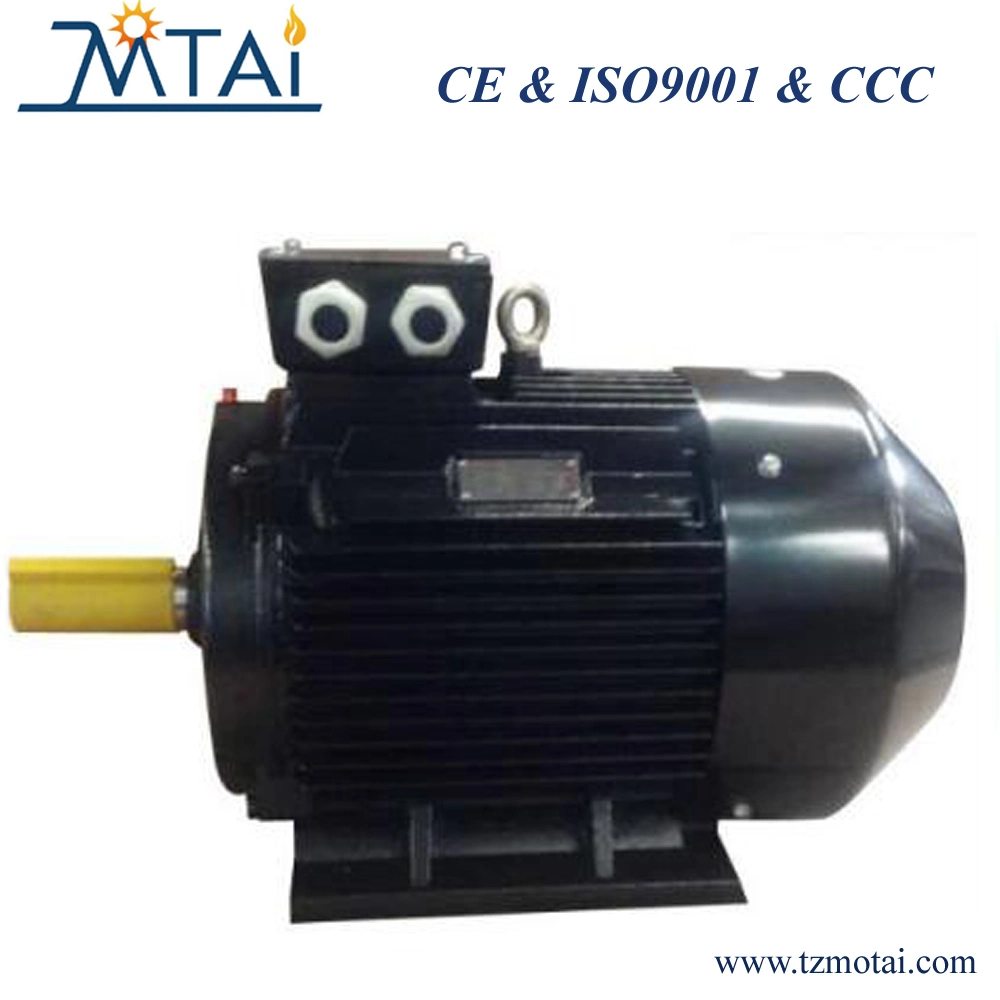 IE3 Premium Efficiency AC  Industrial Electric/Electrical Induction Asynchronous Motor with CE