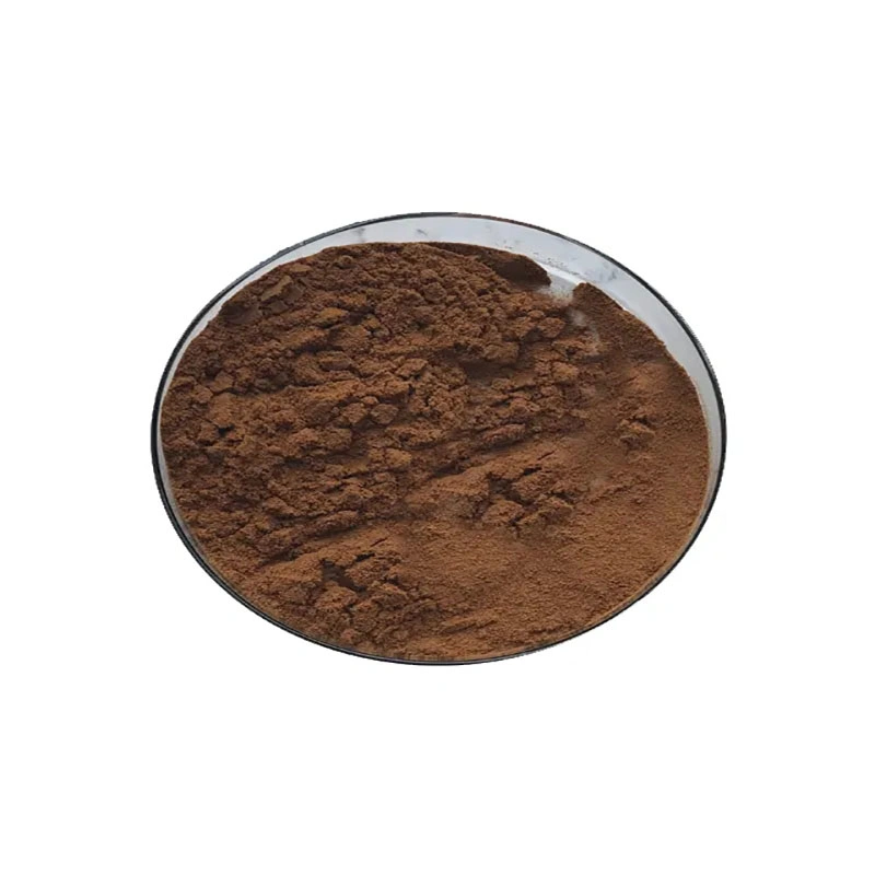 Wholesale/Supplier Factory Price Sparassis Crispa Extract Pure Sparassis Crispa Extract Powder