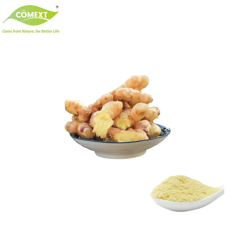 Free Sample Free Sample Zingiber Officinale Extract Gingerols Ginger Extract for Food Additives