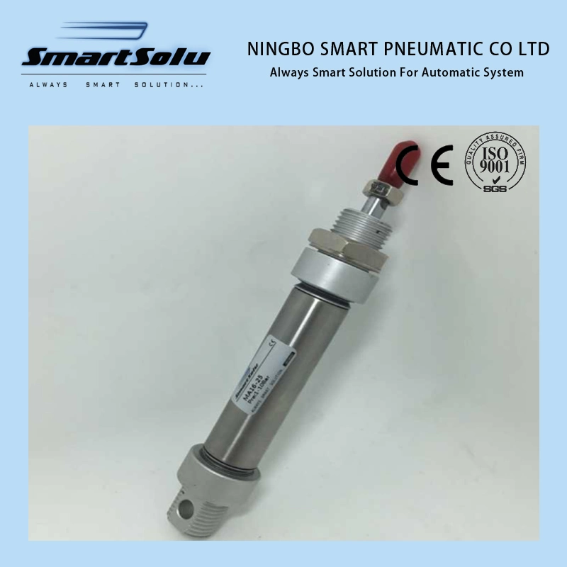 European Asian SMC Full Stainless Steel Customized Pneumatic Air Cylinder