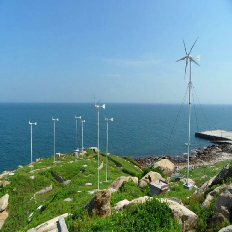 300W Wind Turbines 300W Roof Mounting Wind Generator System