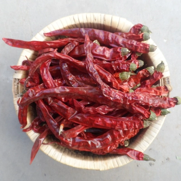 Chilli Segments and Chilli Rings Cut C Paprika Pepper 1.5 Cm High Heat Henan Province Herbs Spice Seasoning Golden Supplier