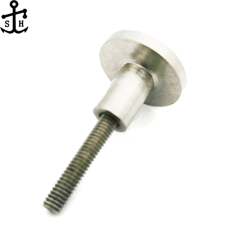 Stainless Steel Fasteners Non-Standard Ss 304 Screw Combination (Rivet and Stud Made in China