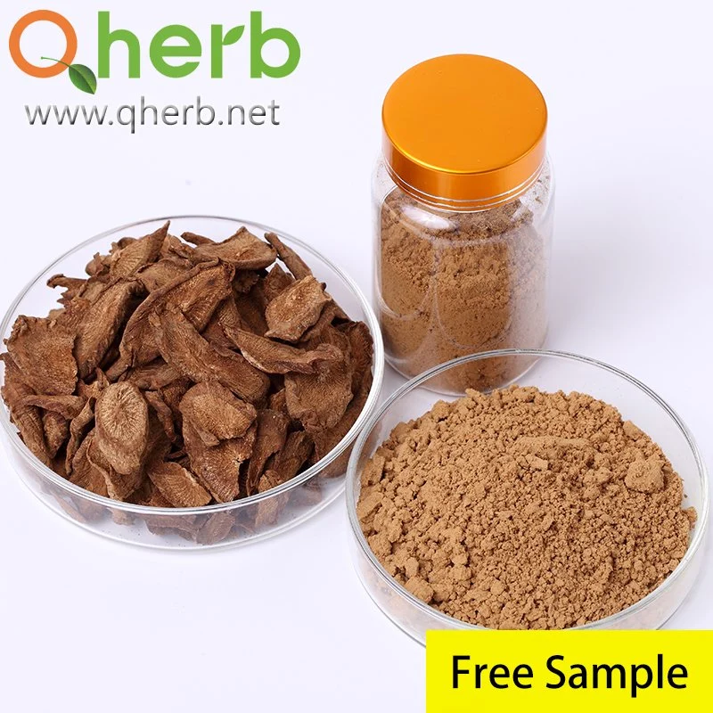 100% Natural Burdock Root Extract Powder Arctigenin 10%