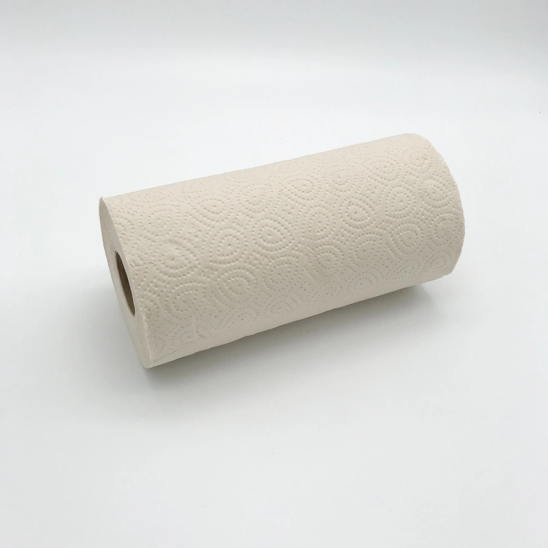 Low Price Kitchen Absorption Disposable Nonwoven Paper