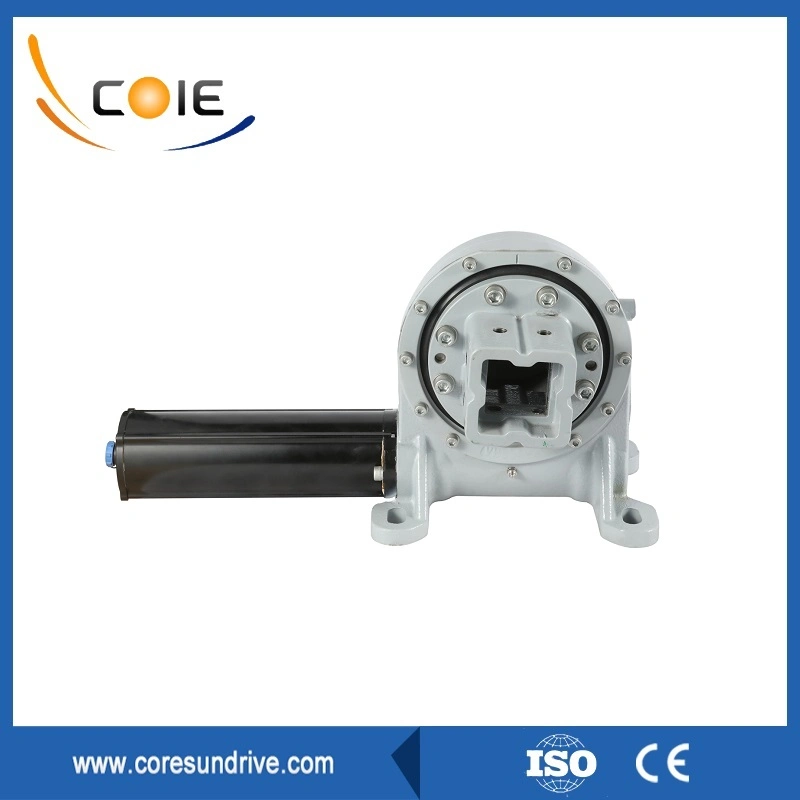 Vertical Worm Gear Drive Motor