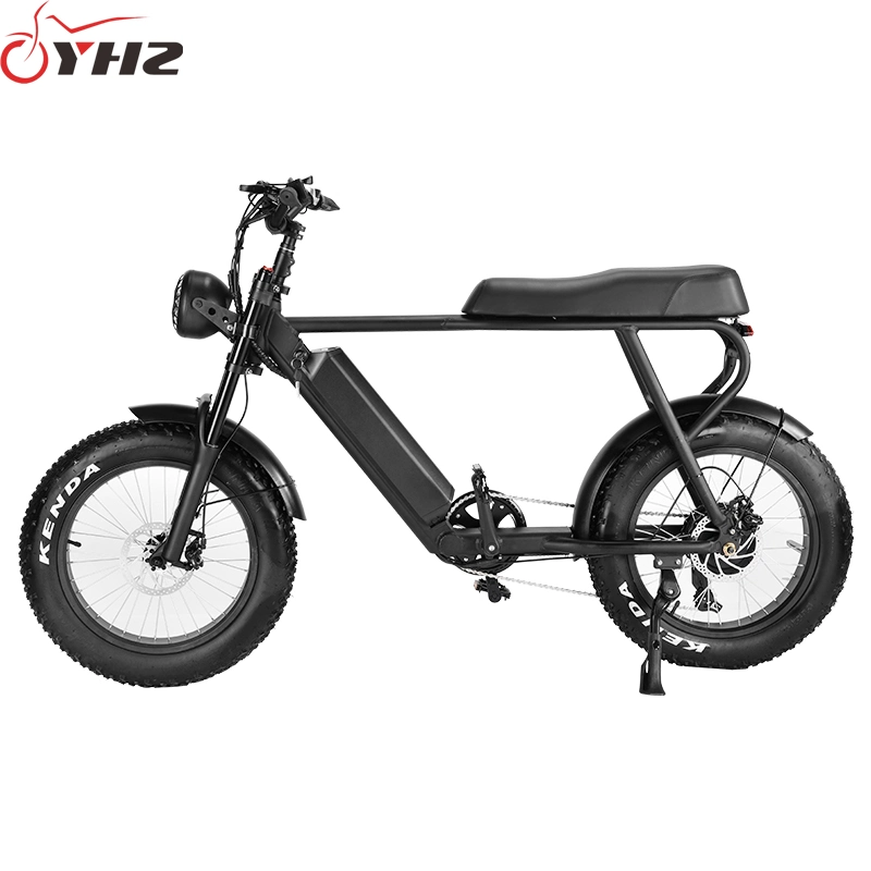 750W Adult Electric Bike USA Warehouse Spot DDP Shipment with 20-Inch Tire