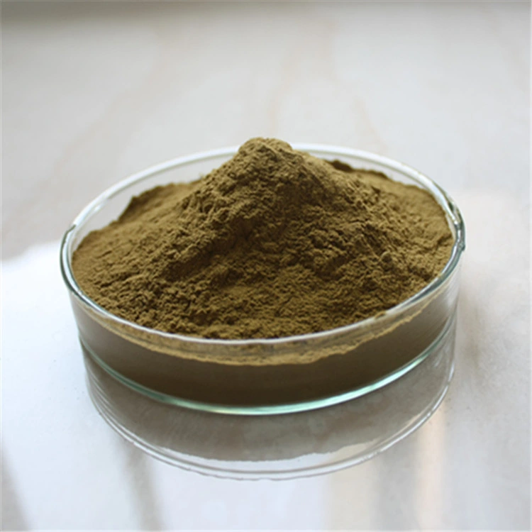 Boost Immunity Reishi Mushroom Extract Powder