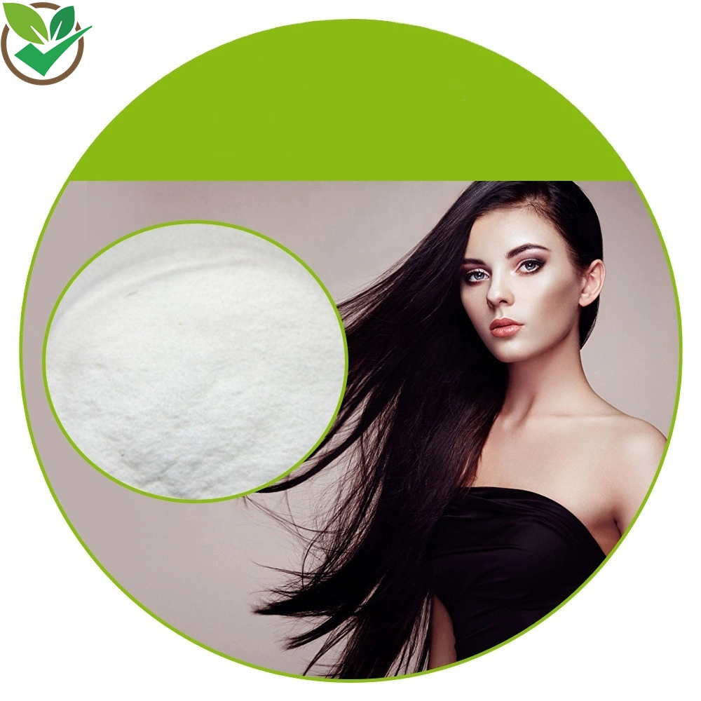 Best Quality Vitamin H (VH) Biotin Powder/ Pure D-Biotin for Hair Growth