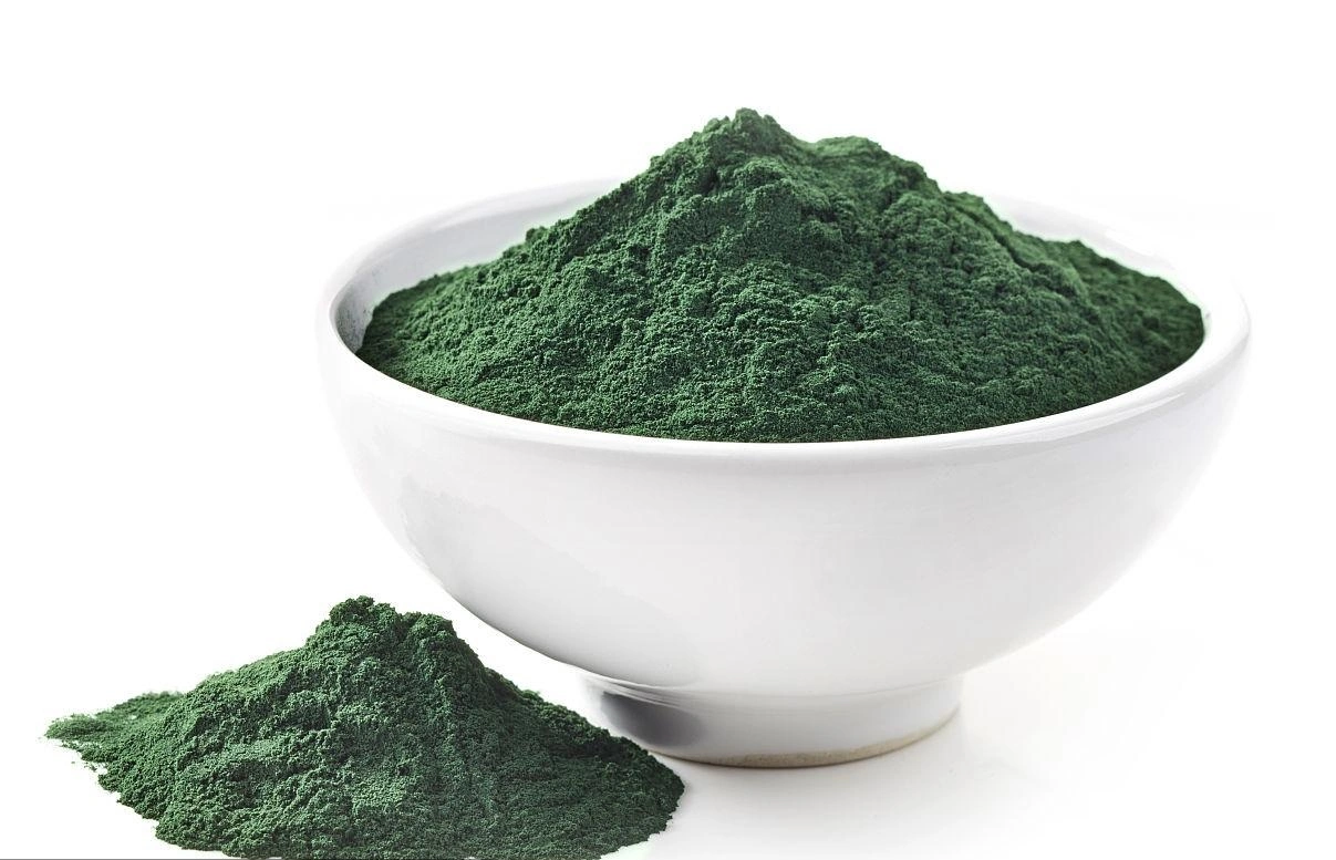 High Nutrition Supplement Cyanobacteria Spirulina Powder for Food