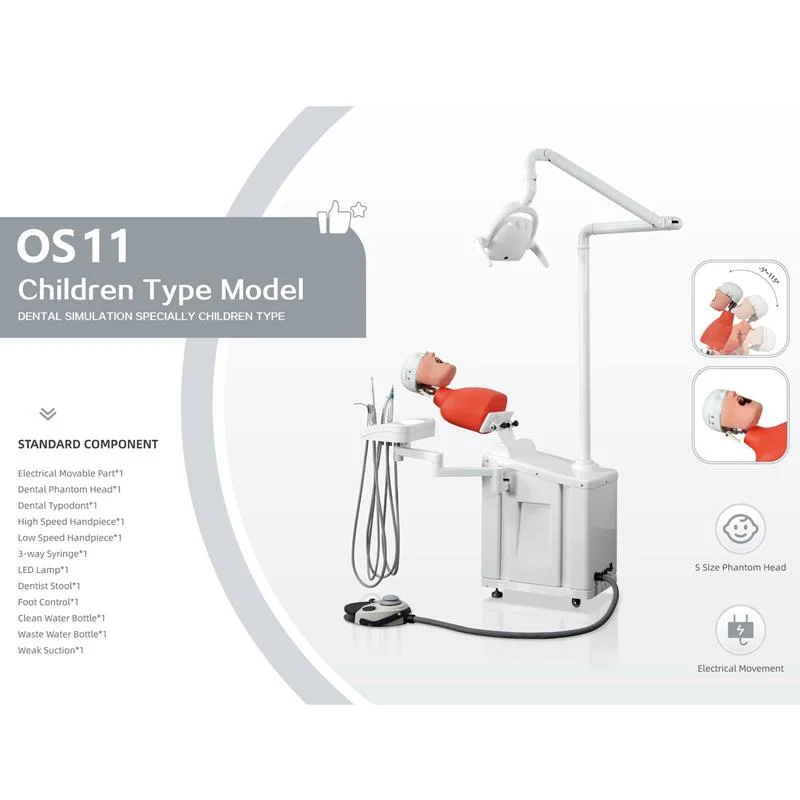 Unité tête de fantôme d'enseignement dentaire LK-OS11 pour l'éducation des patients