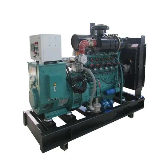 Less Fuel Consumption Biogas Generator Set 200kw