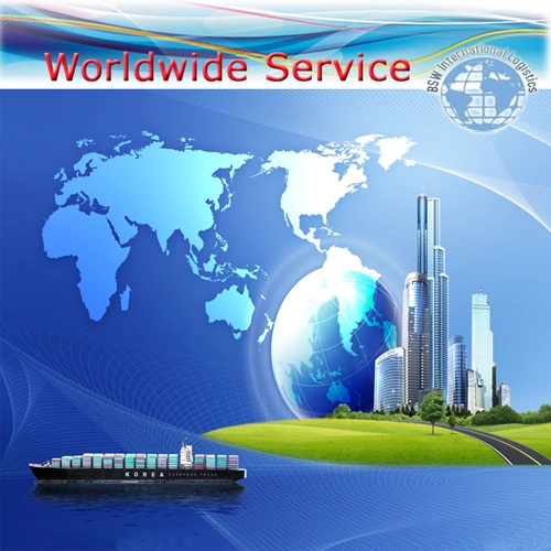 Door to Door Safe Sea Shipping Ocean Forwarder Freight From China to Argentina