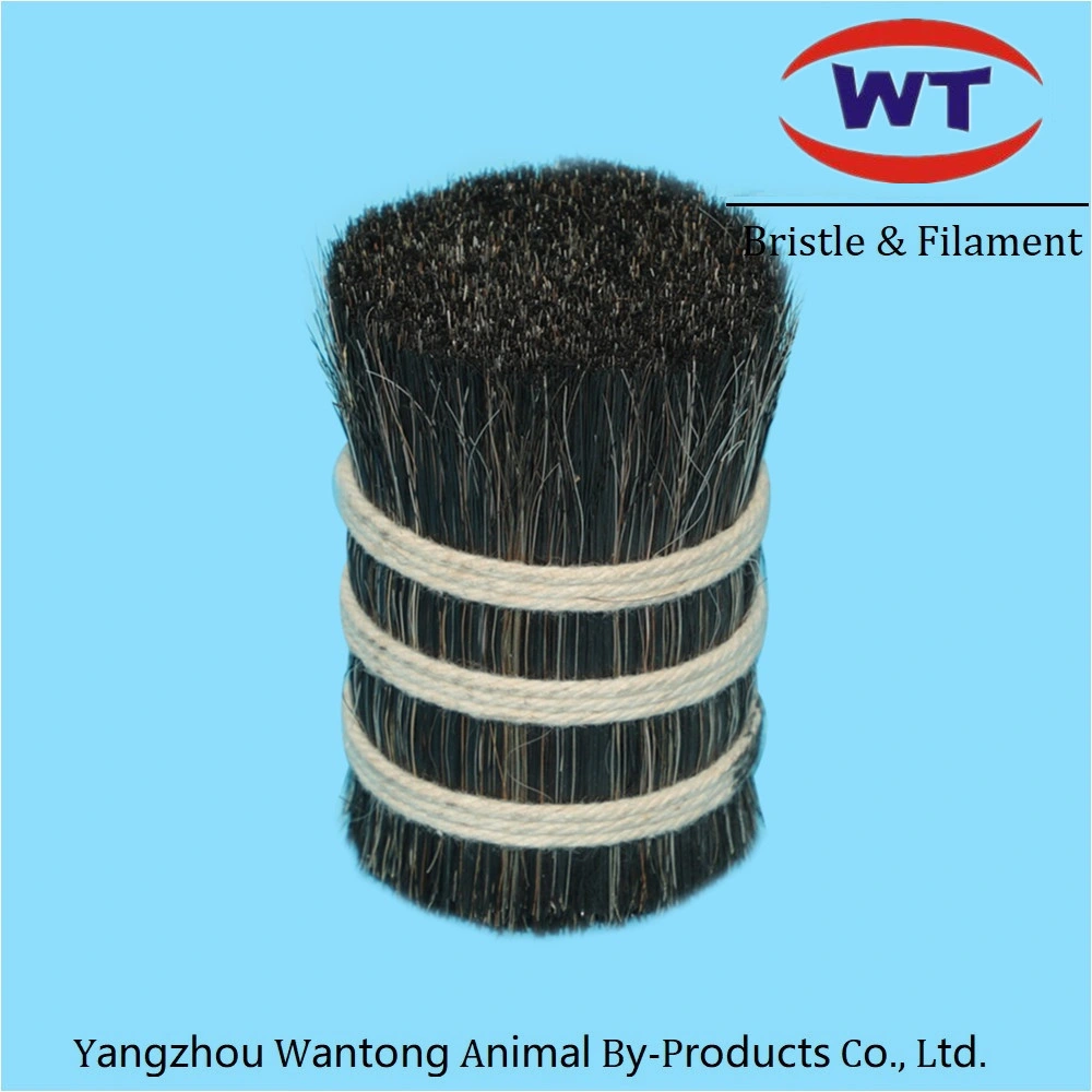 Hot Sale Horsetail Hair and Horse Mane for Sale