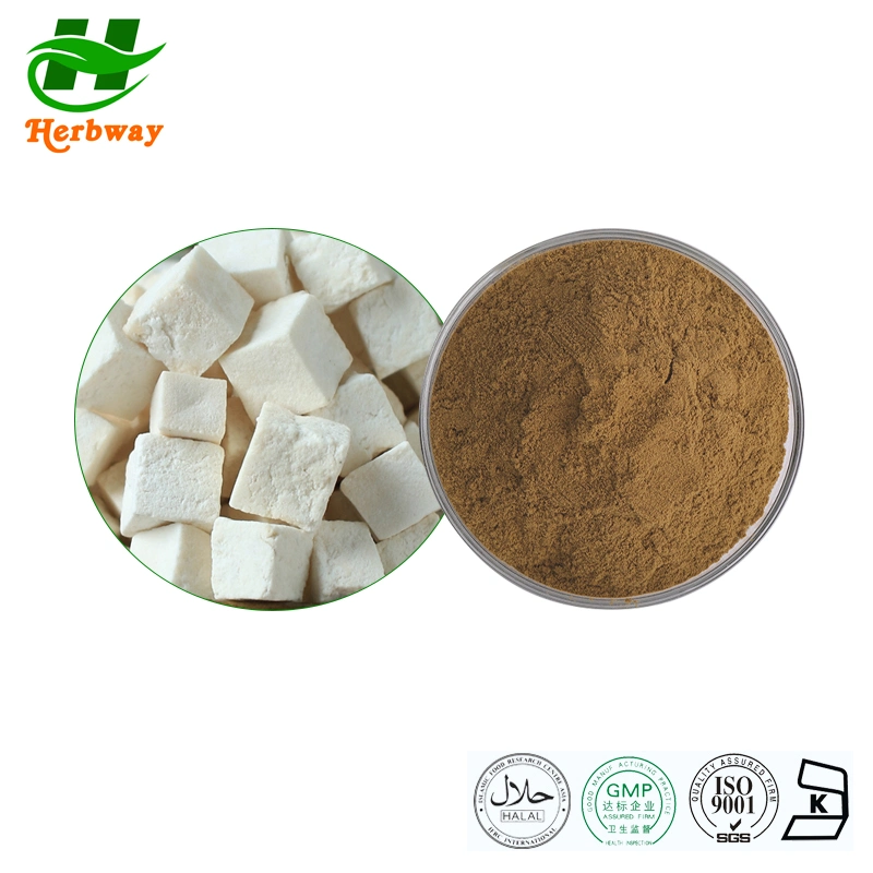 Herbway Plant Extract Free Sample Pharmaceutical Poria Cocos Extract for Ajudar o sono a 50% polissacarídeo