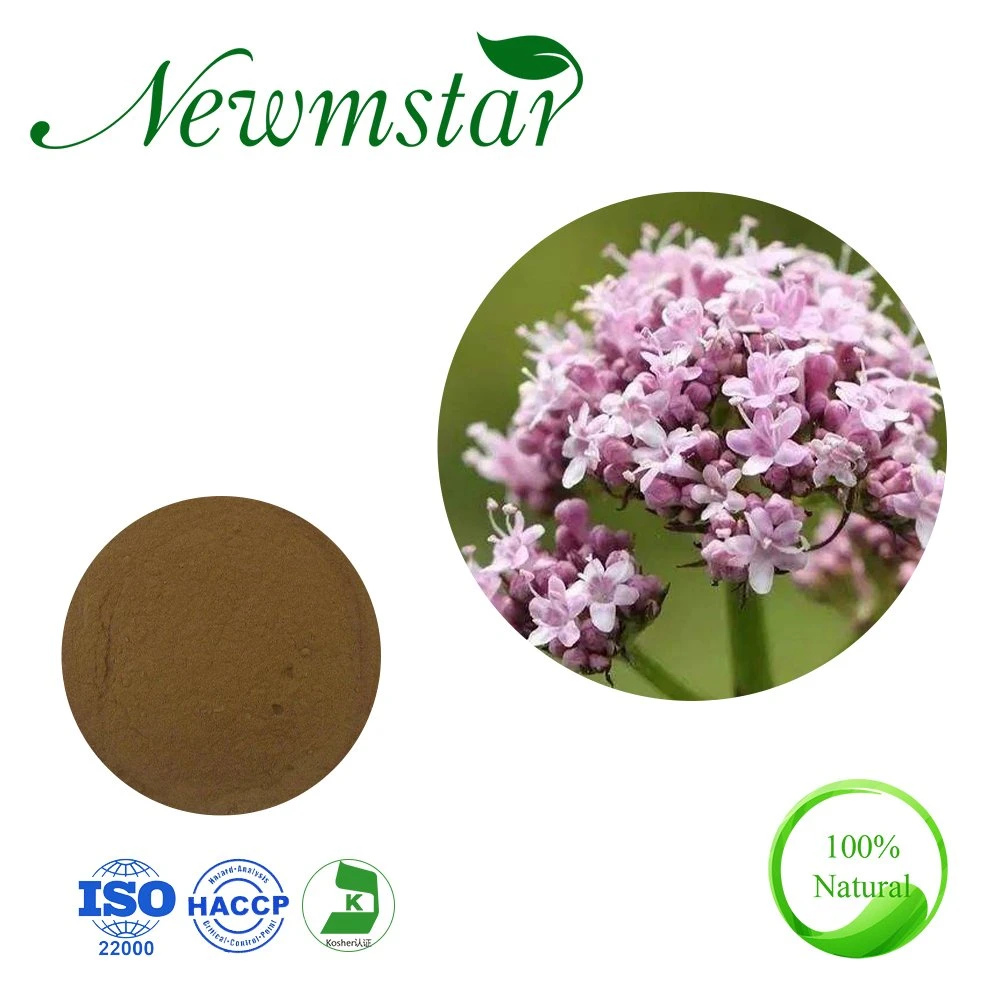 Factory Supply 100% Natural Pure Valerian Extract Powder Valerian Root Extract