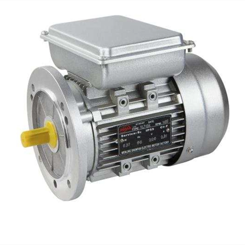 Popular Model Three Phase Ie2 Ie3 AC Electric Motors From Chinese Factory