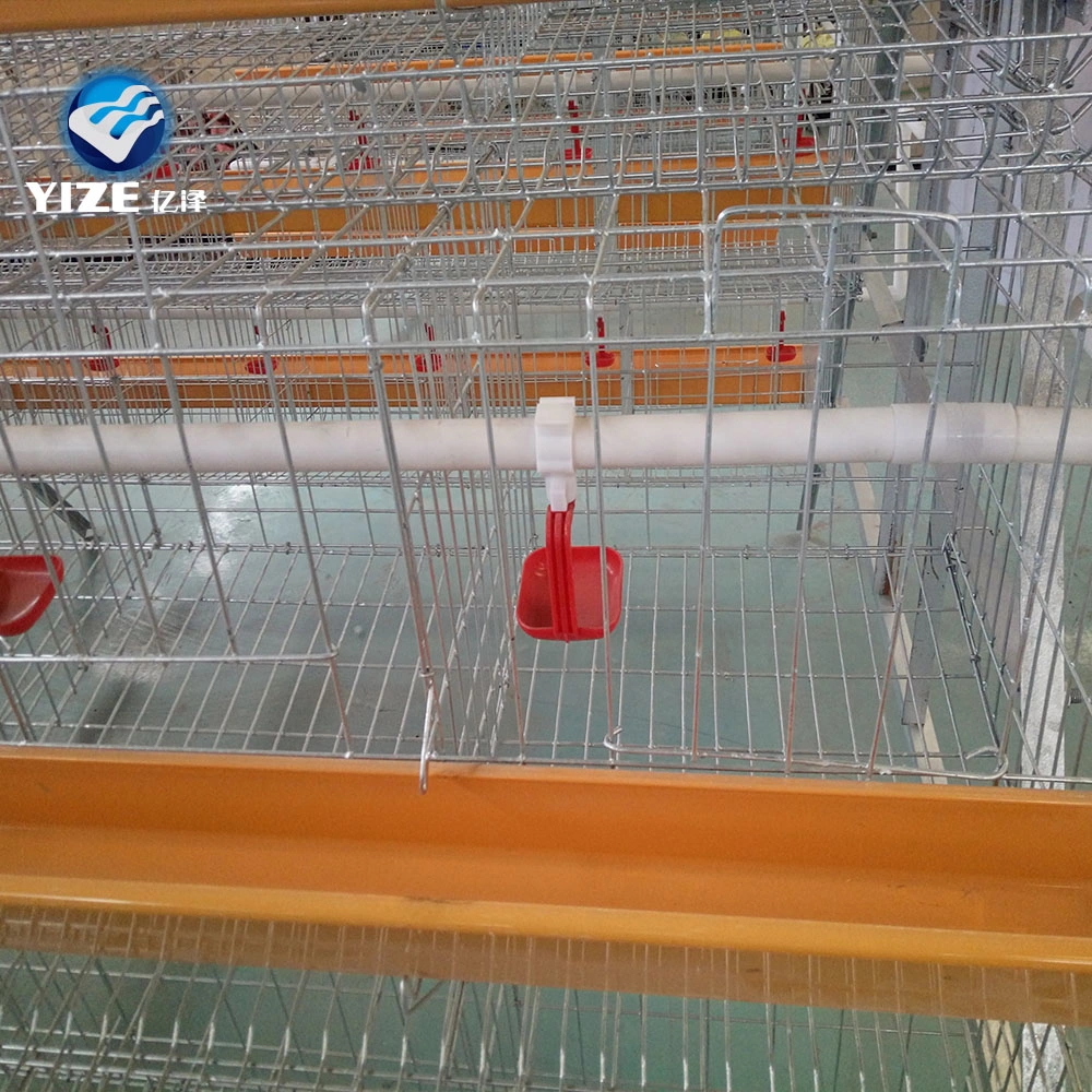 Hot Selling Good Quality Poultry Farm Equipment Chicken Cage for Sale in Sri Lanka