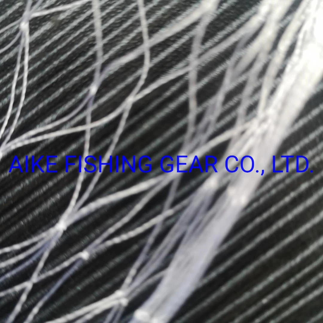 Best Strength Fishing Net, Nylon Multiflamnet Twine, 210d/2 33.3mmsq 50MD, for Europe Markets