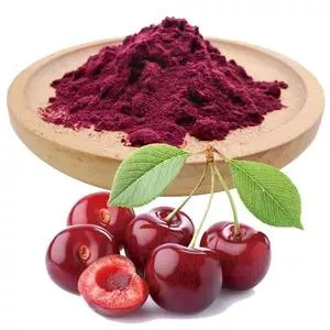 Top Quality Bulk Price Organic Fruit Tart Extract Acerola Cherry Extract Tart