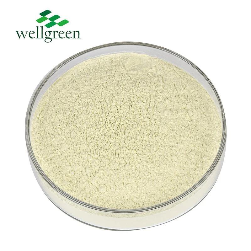 Factory Best Price Pomelo Peel Citrus Paradisi Grapefruit Extract Food Grade 98% Naringin Powder