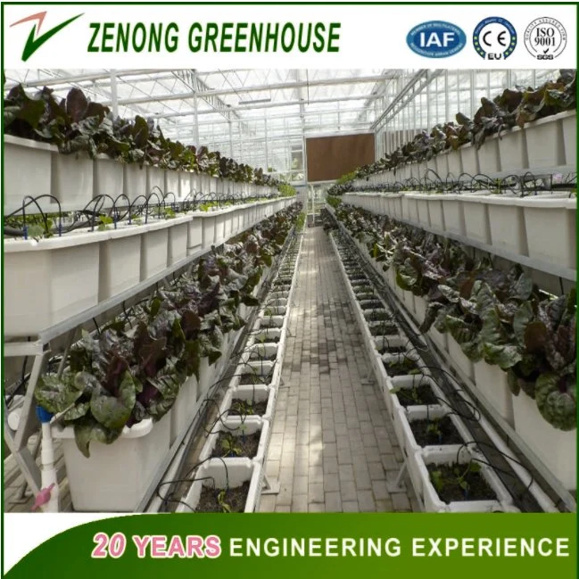 Multifunctional PC Plate Covered Greenhouse Easy Install for Vegetable/Fruit/Planting/Farm/Livestock Breeding/Restaurant