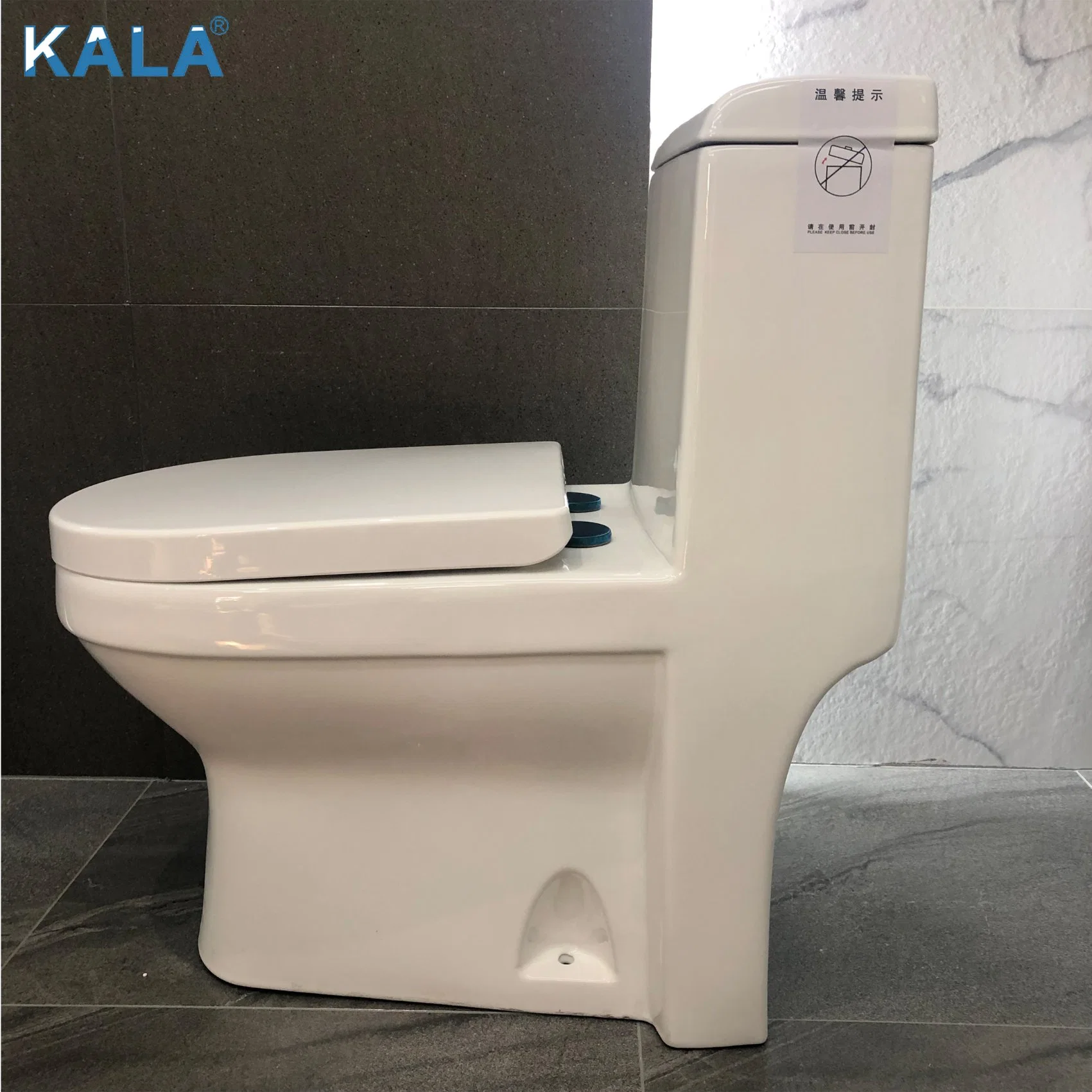 Modren Style Easy Flushing Rimless Washdown One-Piece Sitting Toilet