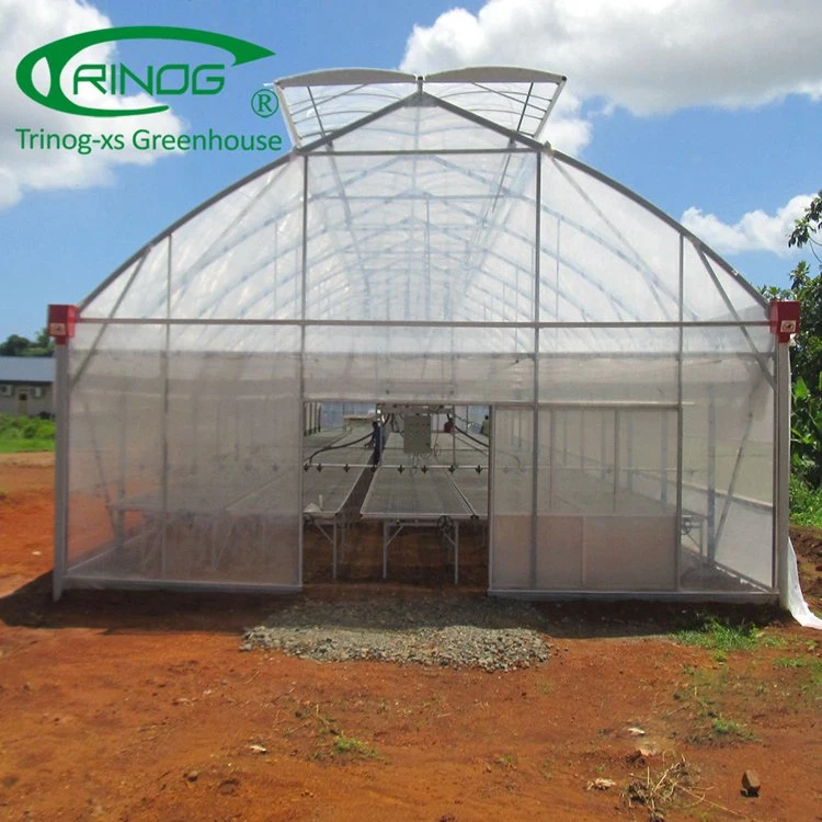 Trinog single span light tunnel film greenhouse for poultry farms