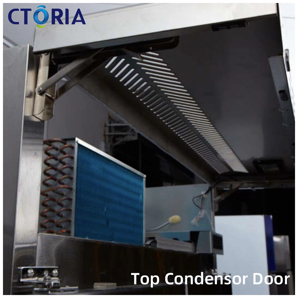 Food Grade Ctoria Foaming Door Professional Ingredient Storage Vertical Freezer Commercial Refrigerator