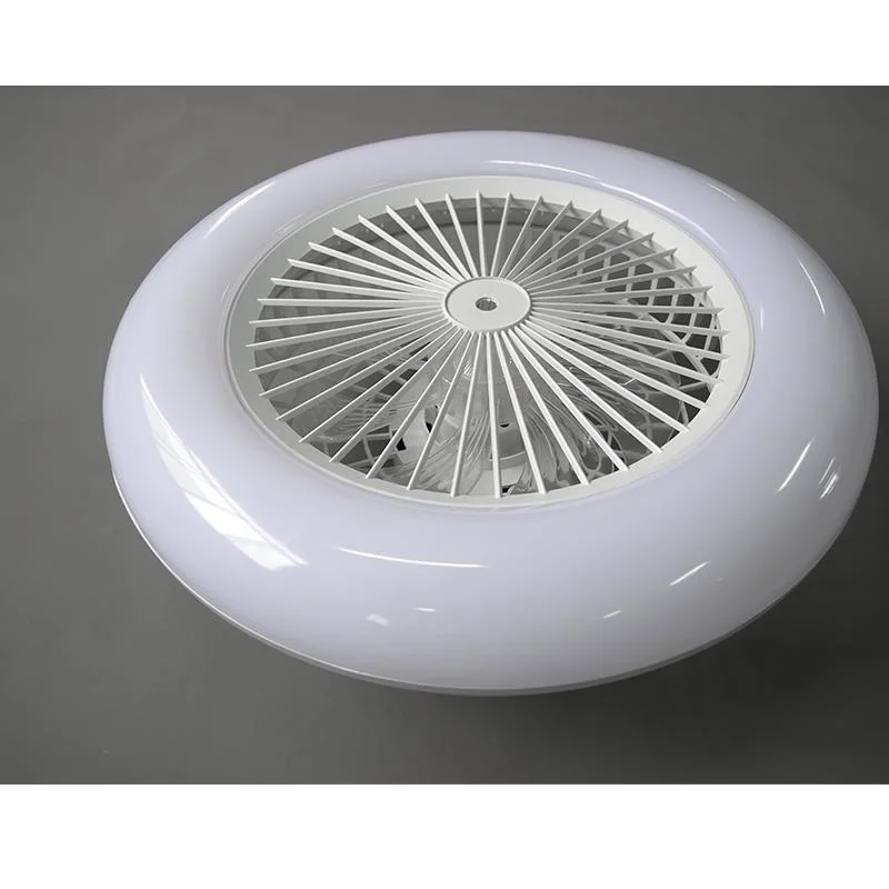 Fan Lamp Remote Control Modern DC LED Ceiling Fans with Light