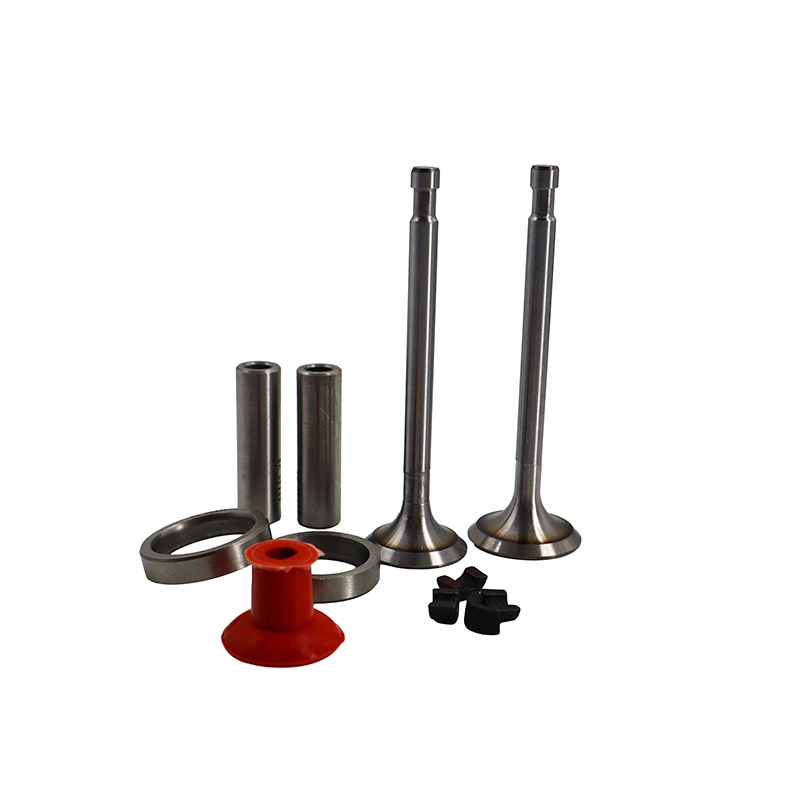 Agricultural Diesel Engine Parts Valve kits for R170A