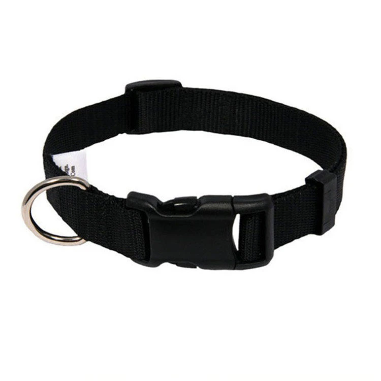 Hot-Sale High-Quality Solid Color 15mm Adjustable Dog Collar with LED Light